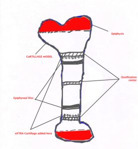 Hyaluronic Acid in the Body Parts